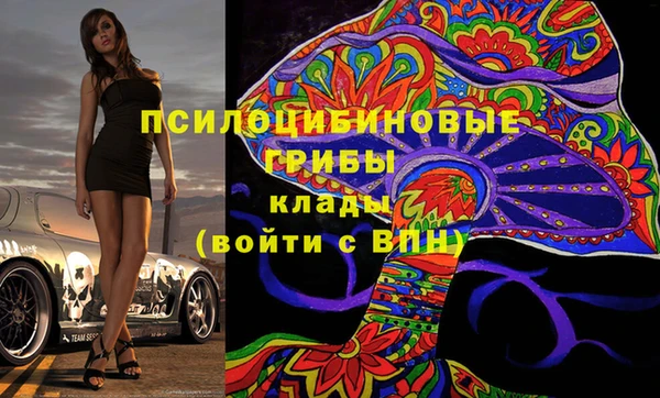 герыч Алексин