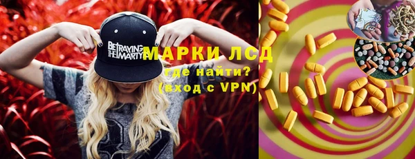 ECSTASY Алзамай