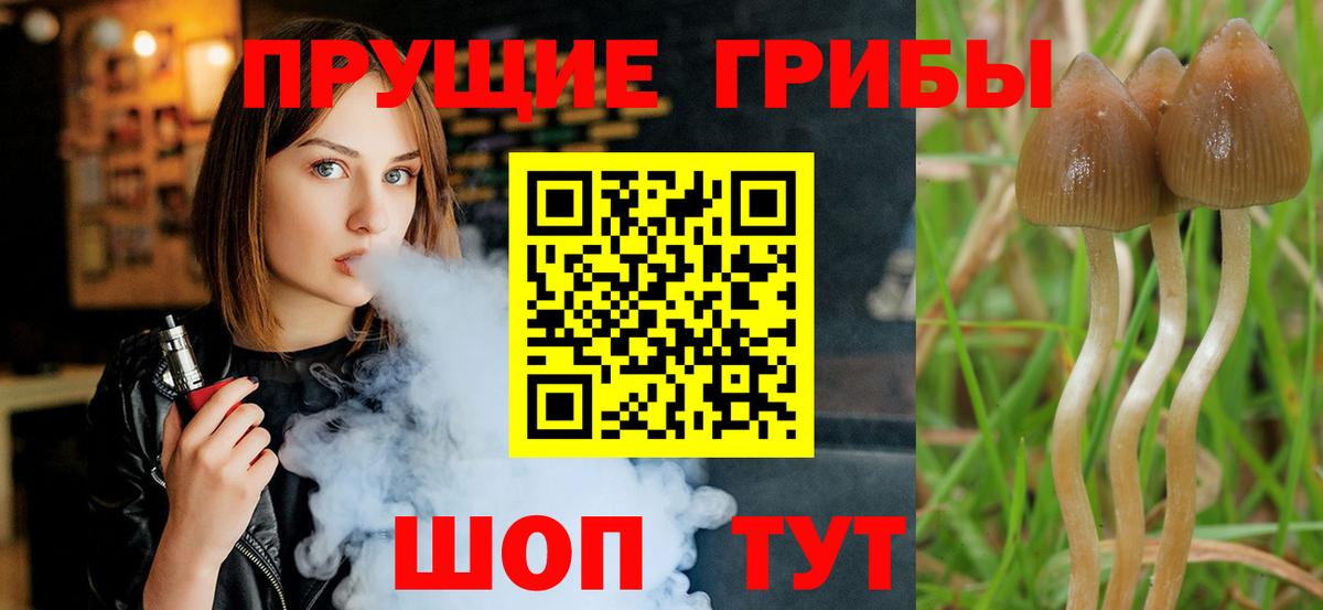 Галлюциногенные грибы Magic Shrooms  Вход с VPN  Элиста 
