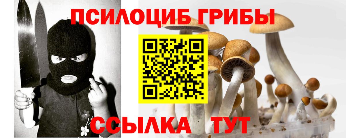 Галлюциногенные грибы Psilocybine cubensis Элиста