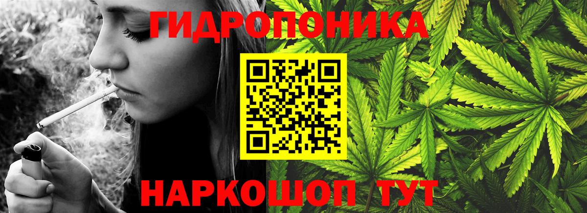 Бошки марихуана сатива Элиста